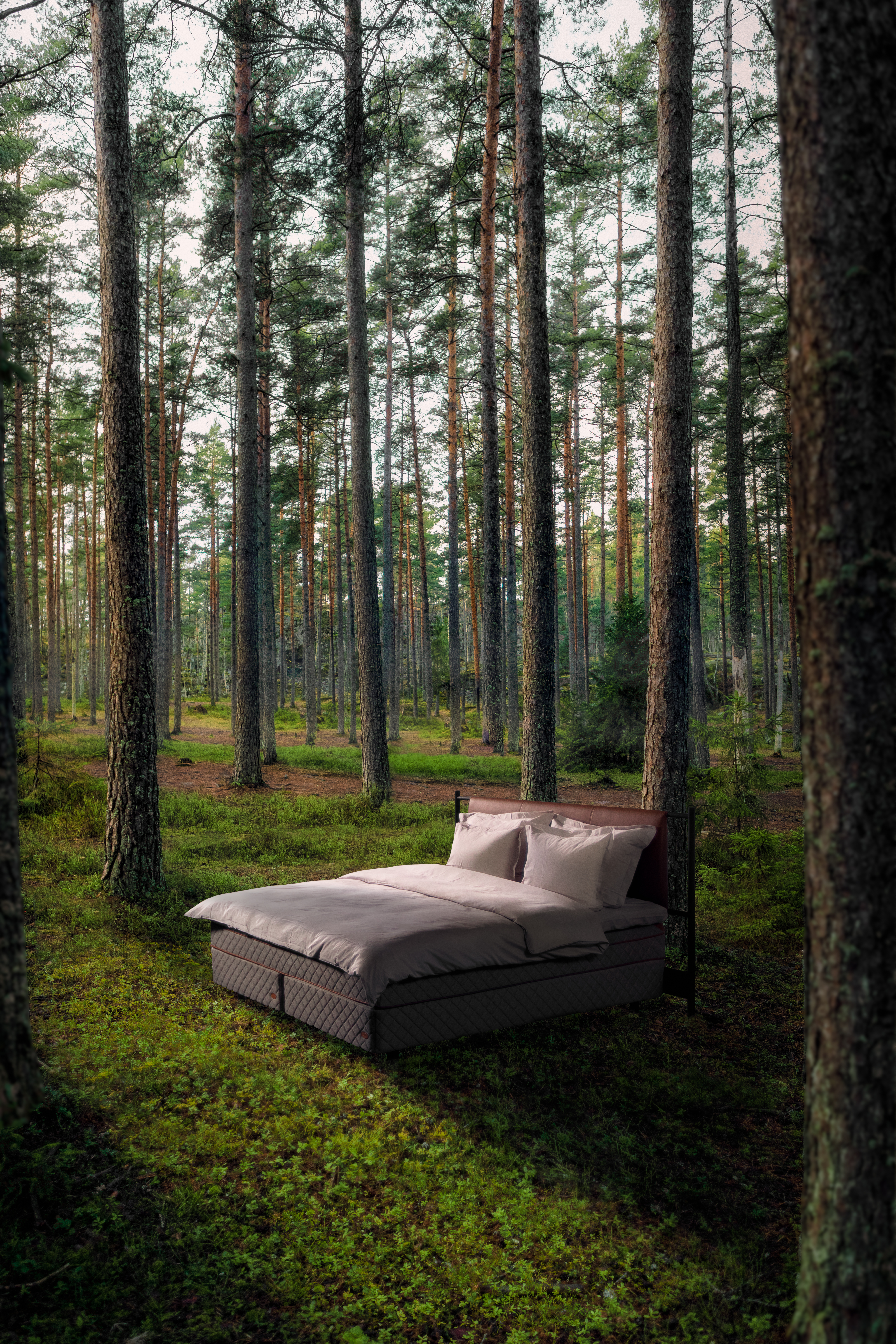 Fotografiska ForRest_foto Petter Bülling.jpg